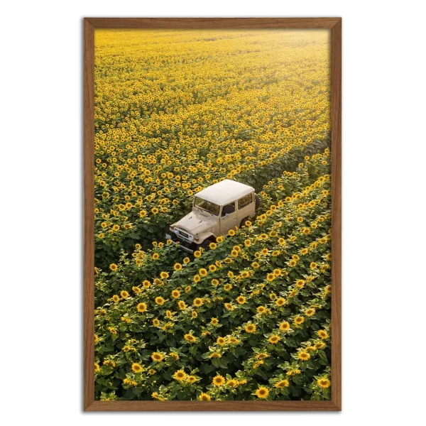 Land Cruiser 40 Series in Sunflower Field